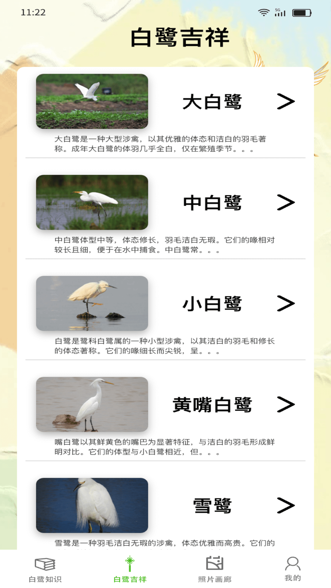 精彩截图-白鹭迎瑞2025官方新版
