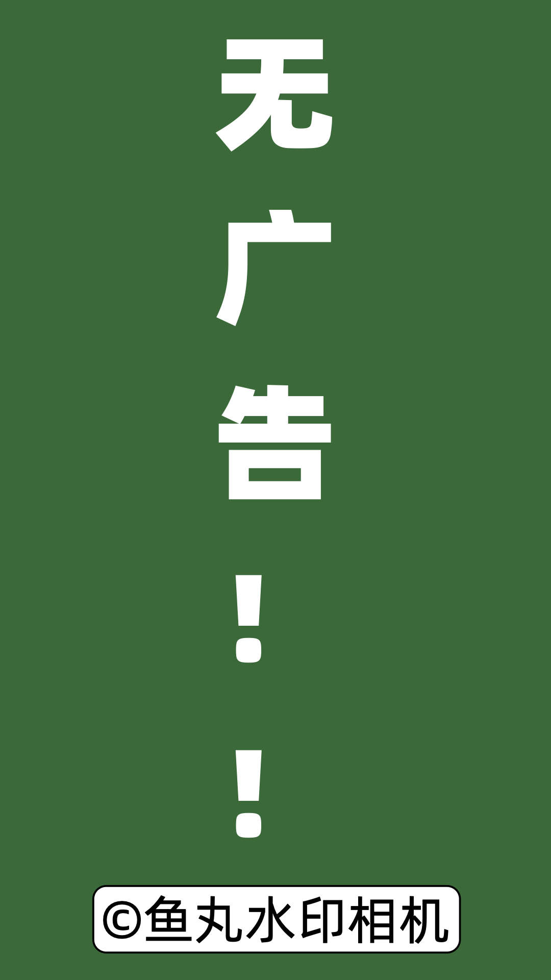 精彩截图-鱼丸水印相机2026官方新版