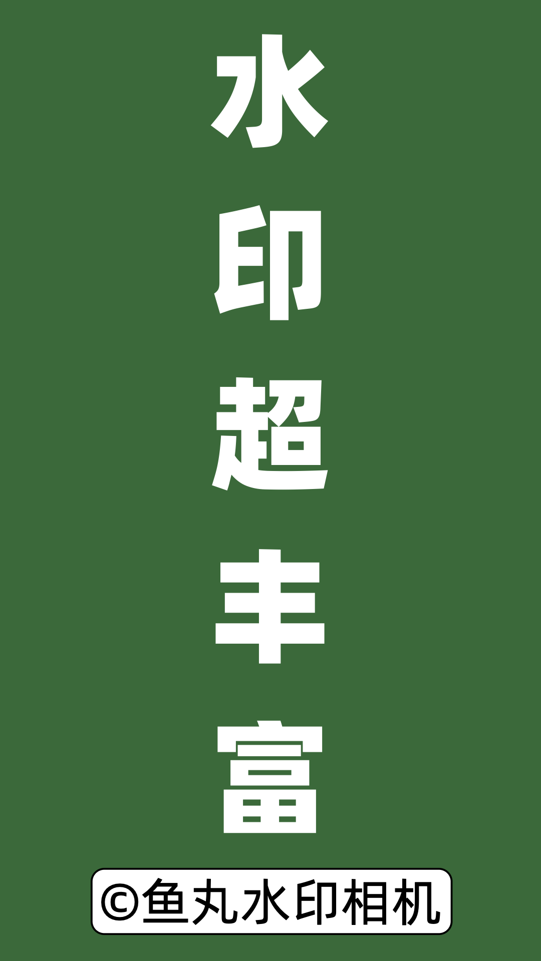精彩截图-鱼丸水印相机2026官方新版
