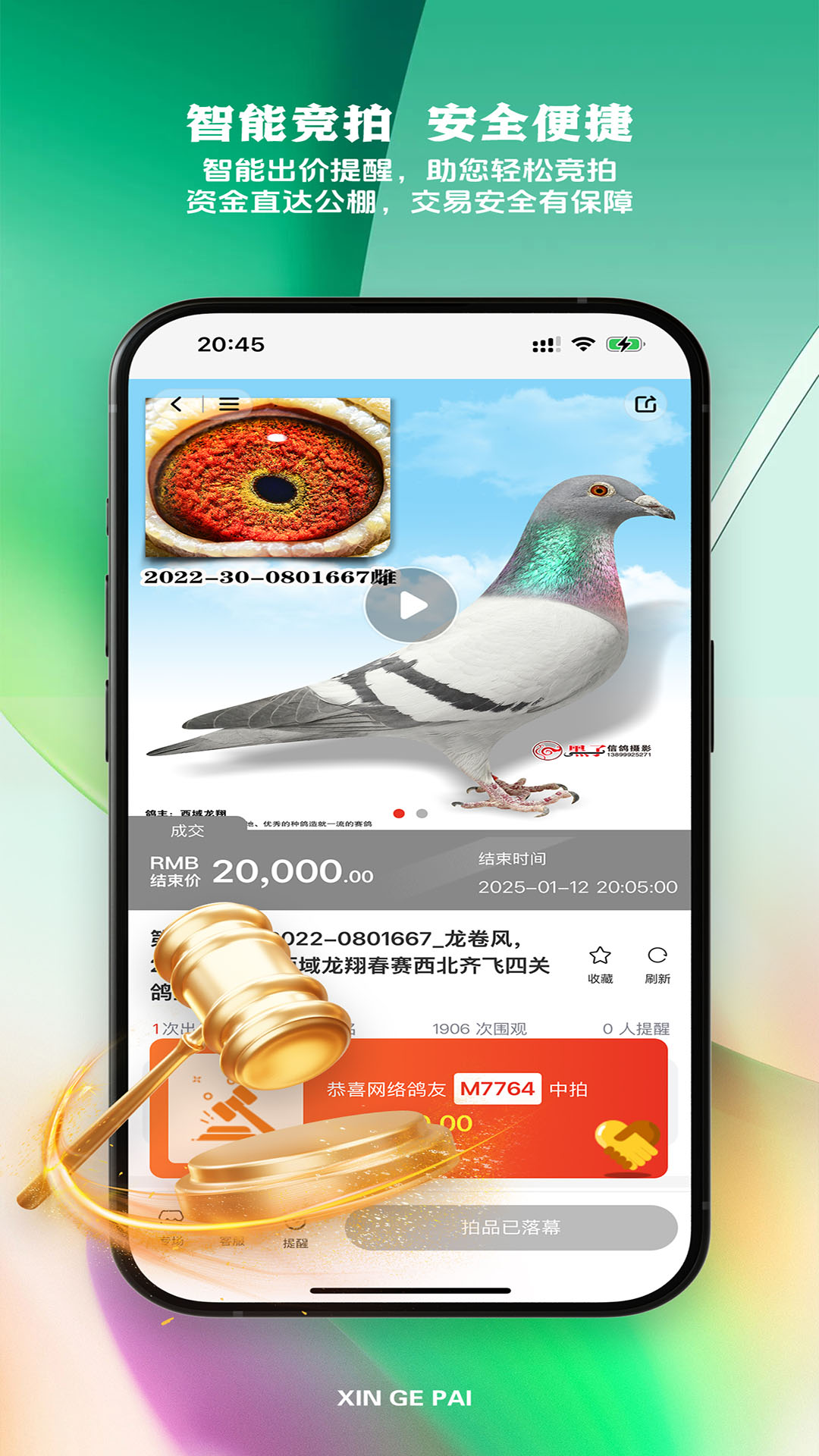 精彩截图-新鸽拍2026官方新版