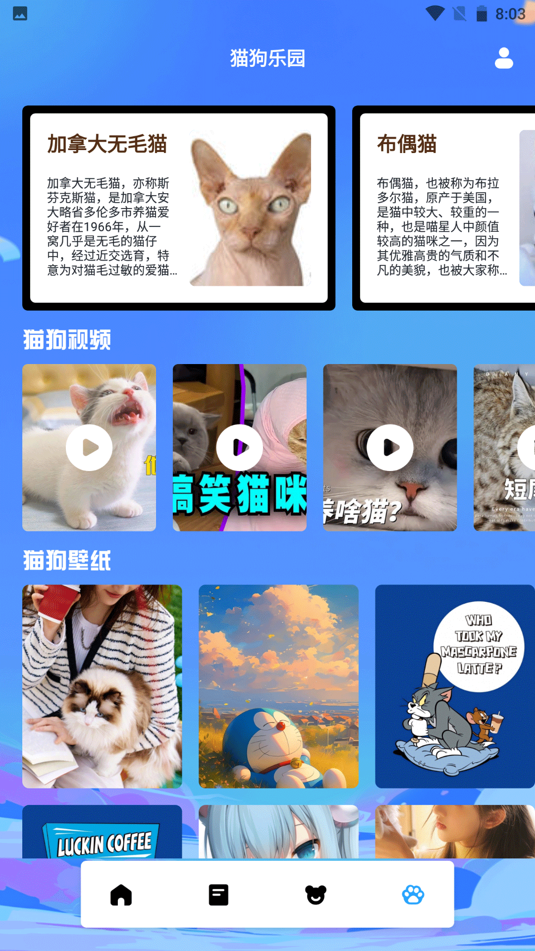 精彩截图-Letstalk Mchat2025官方新版