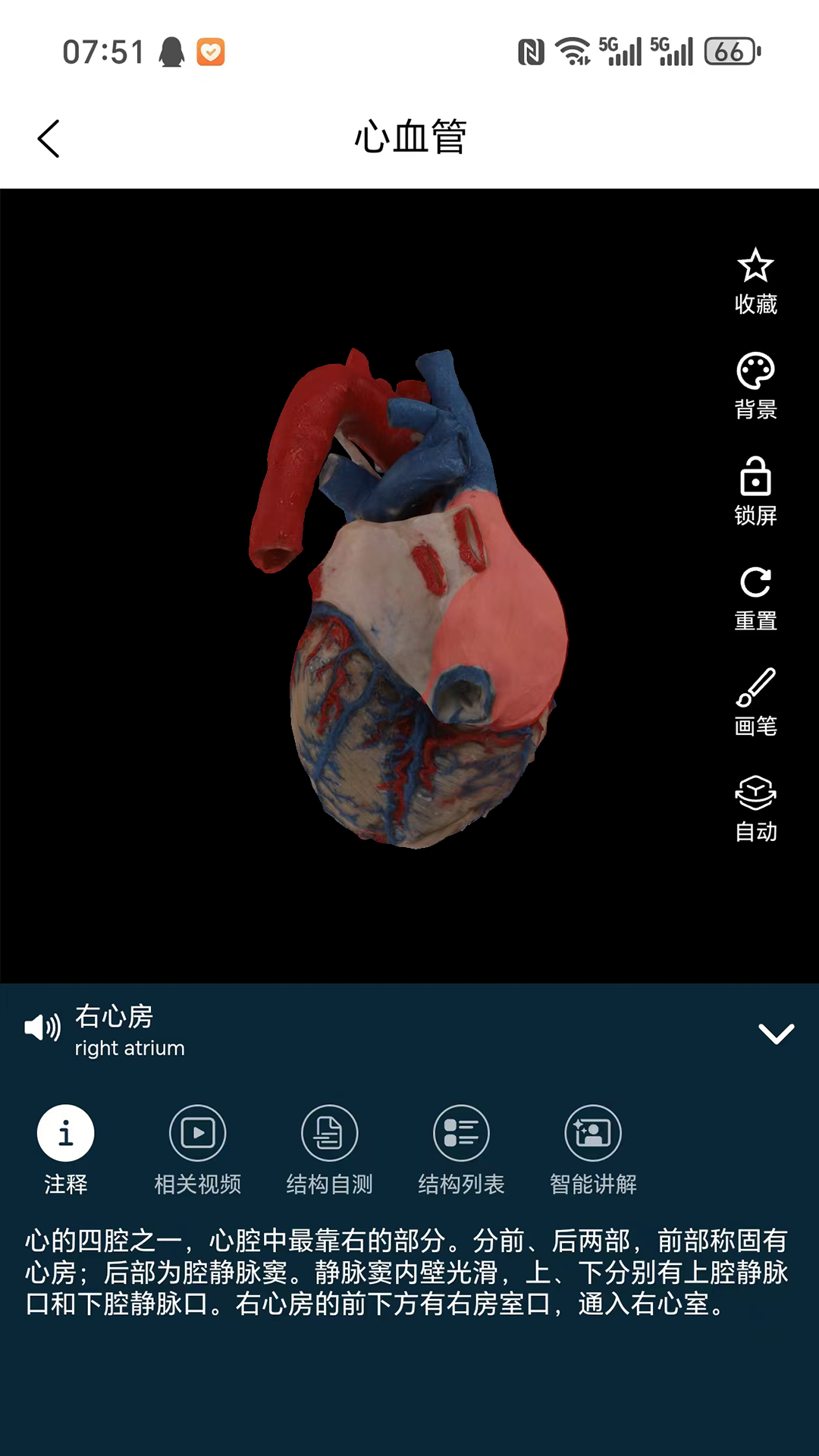 精彩截图-云解剖2026官方新版