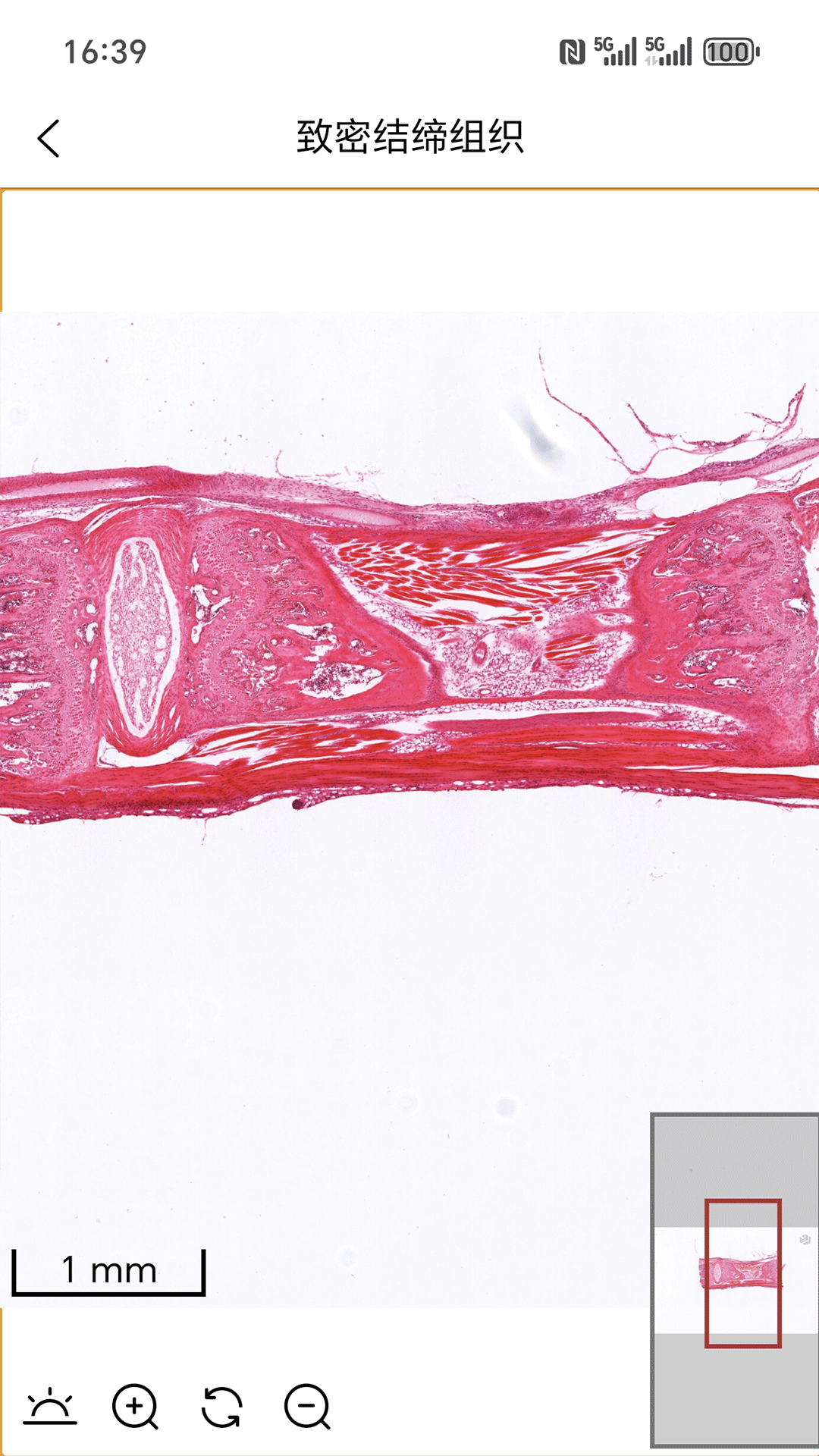 精彩截图-云解剖2026官方新版