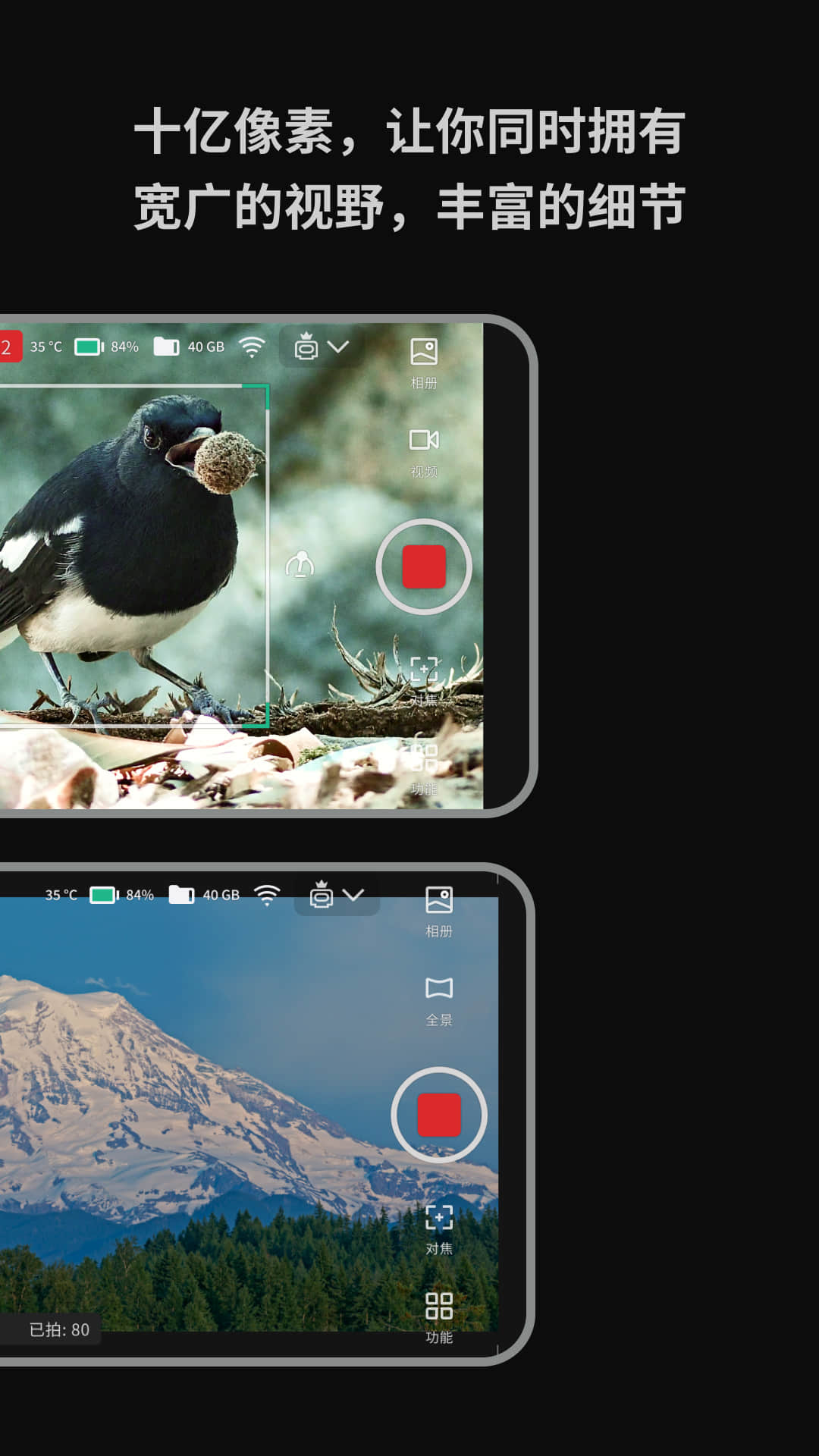 精彩截图-DWARFLAB2025官方新版