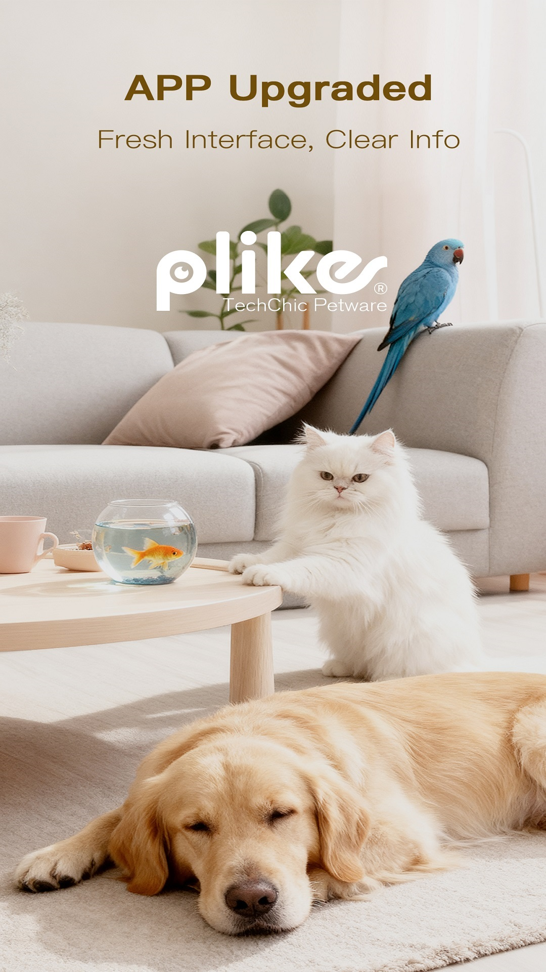 Plike 截图 4