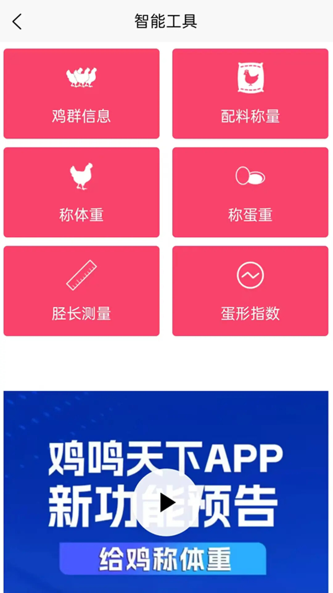 精彩截图-鸡鸣天下2026官方新版