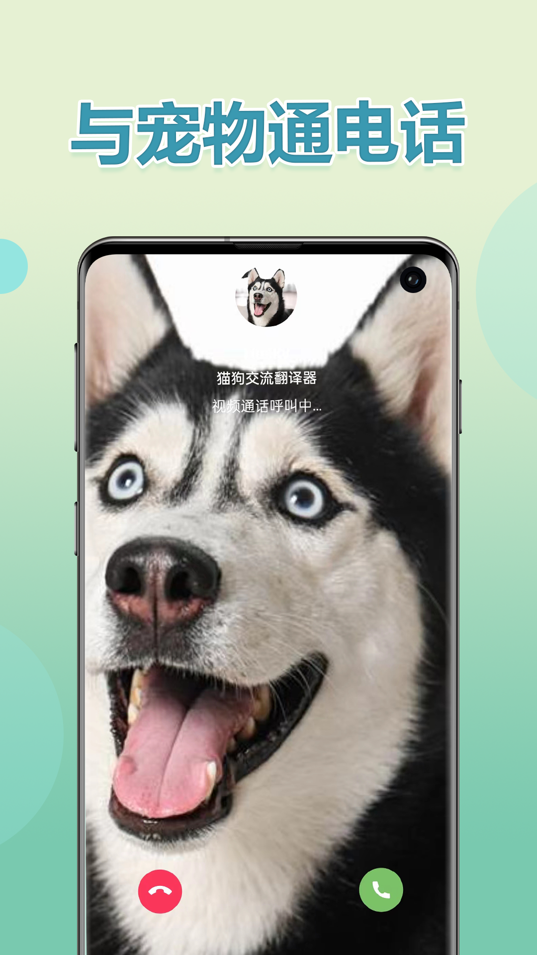 精彩截图-猫狗交流翻译器2026官方新版