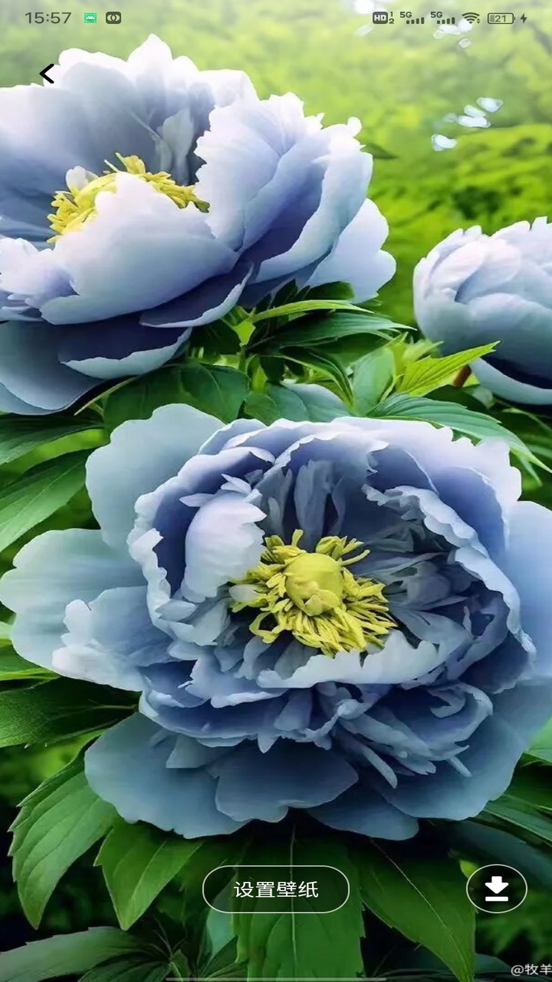 精彩截图-CCP二次元平台2026官方新版