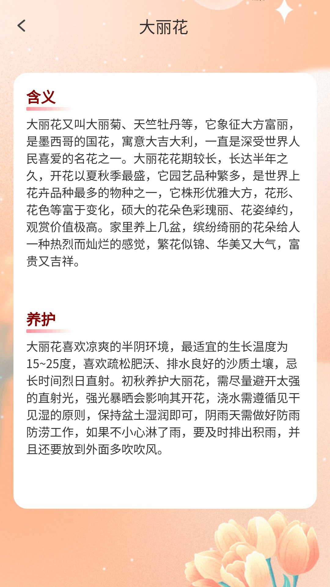 精彩截图-步步繁花2025官方新版