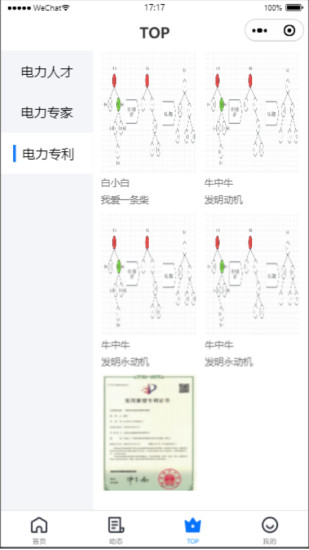 精彩截图-电力者2024官方新版