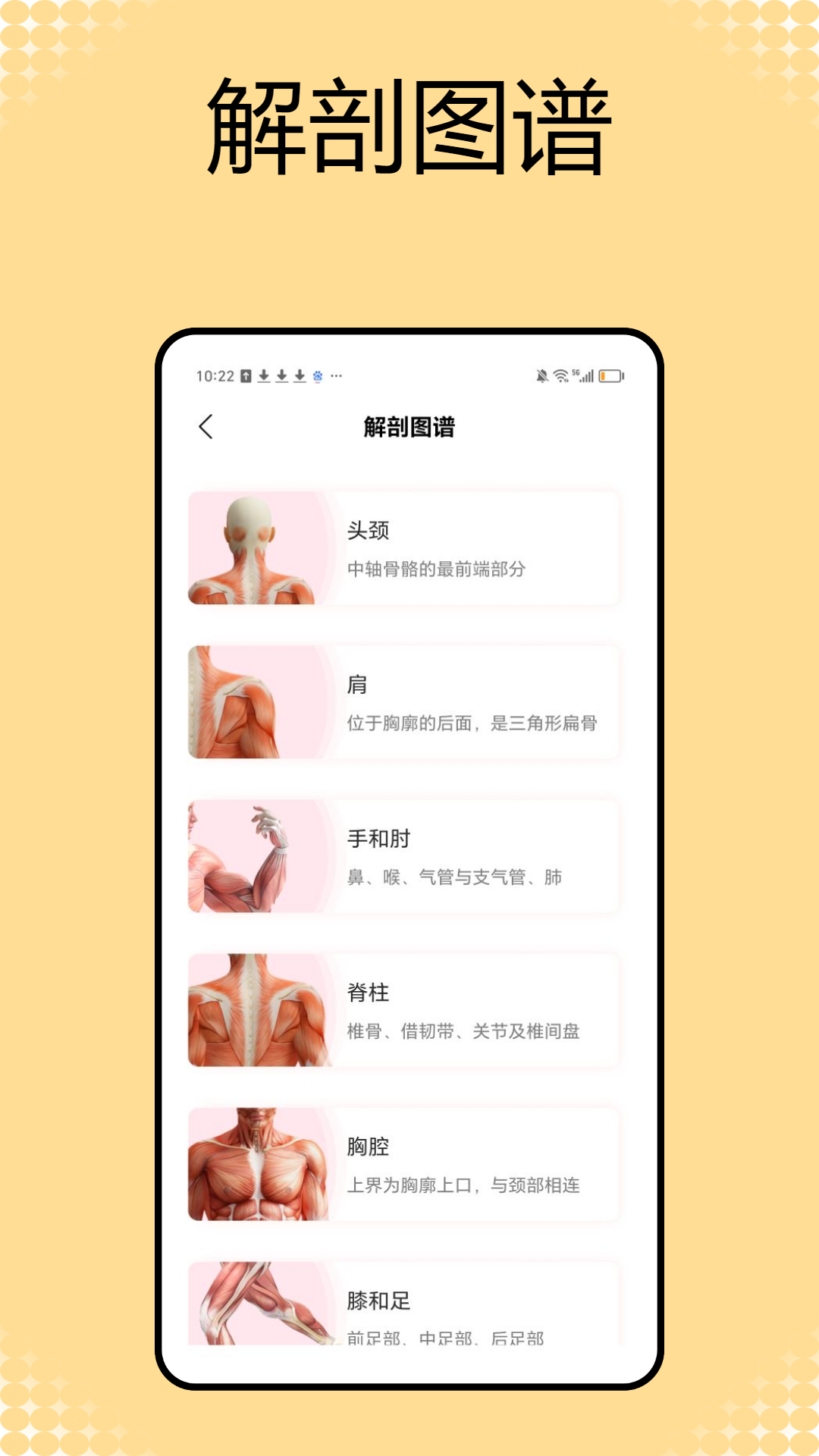 精彩截图-解剖和生理学2026官方新版