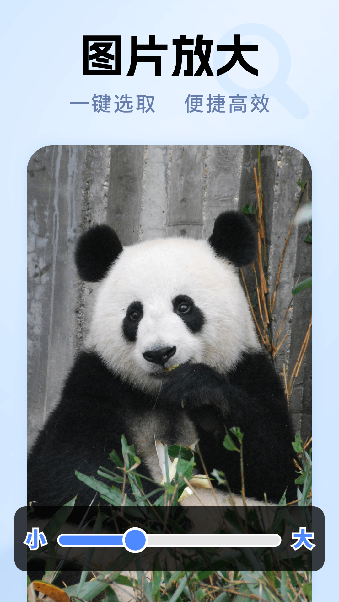 精彩截图-老年放大镜专家2026官方新版