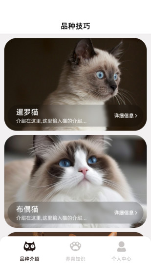 精彩截图-开心招财猫2024官方新版