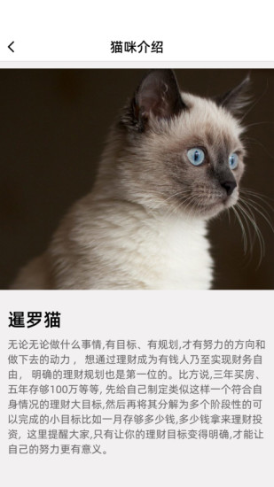 精彩截图-开心招财猫2024官方新版