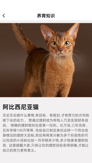 精彩截图-开心招财猫2024官方新版