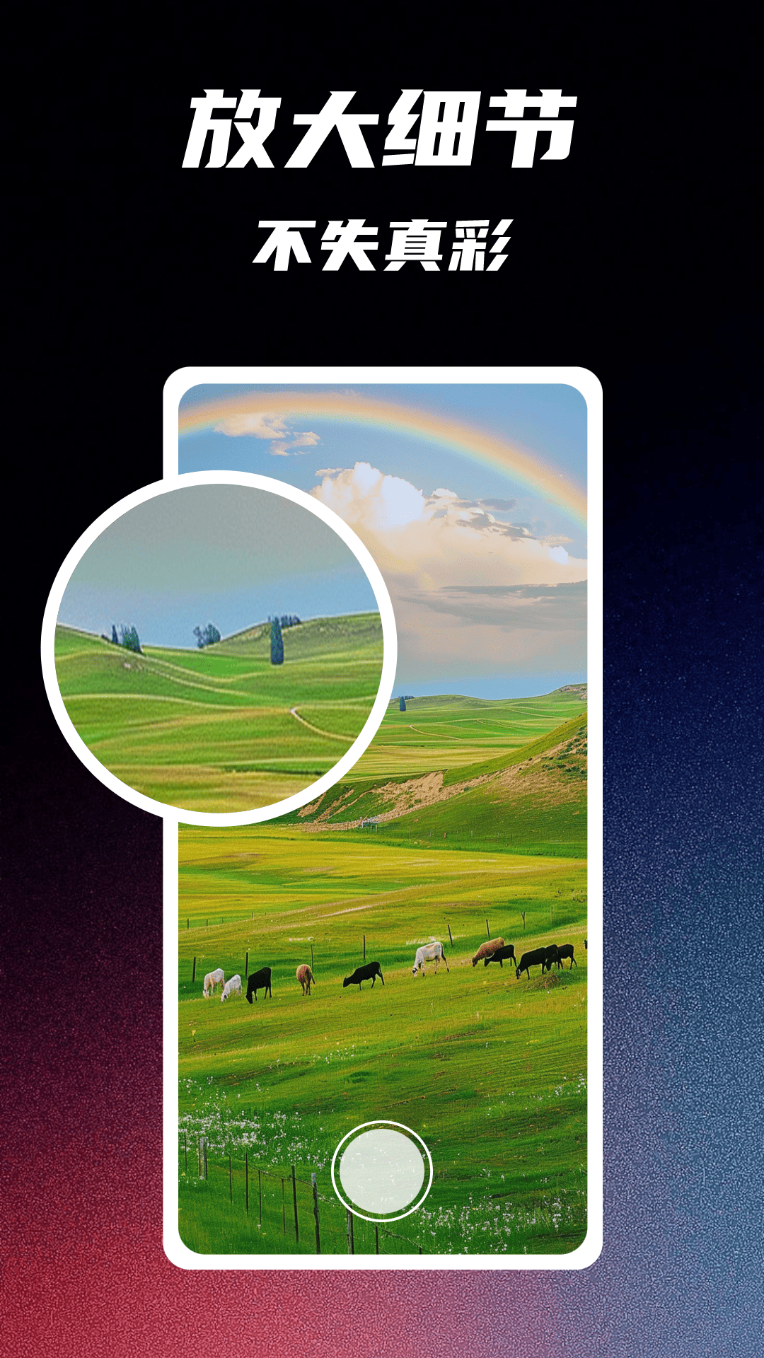 精彩截图-手机高清放大镜2026官方新版