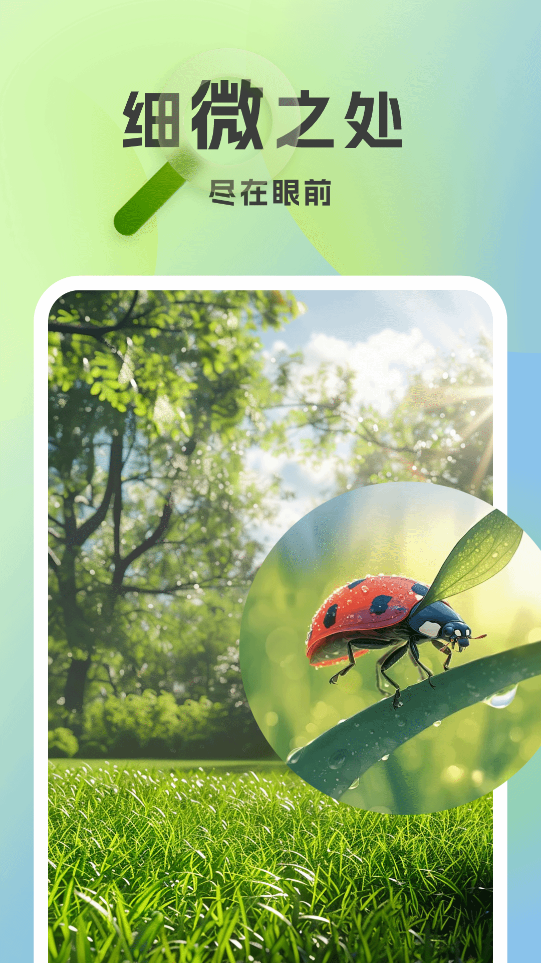 精彩截图-放大镜超清版2025官方新版