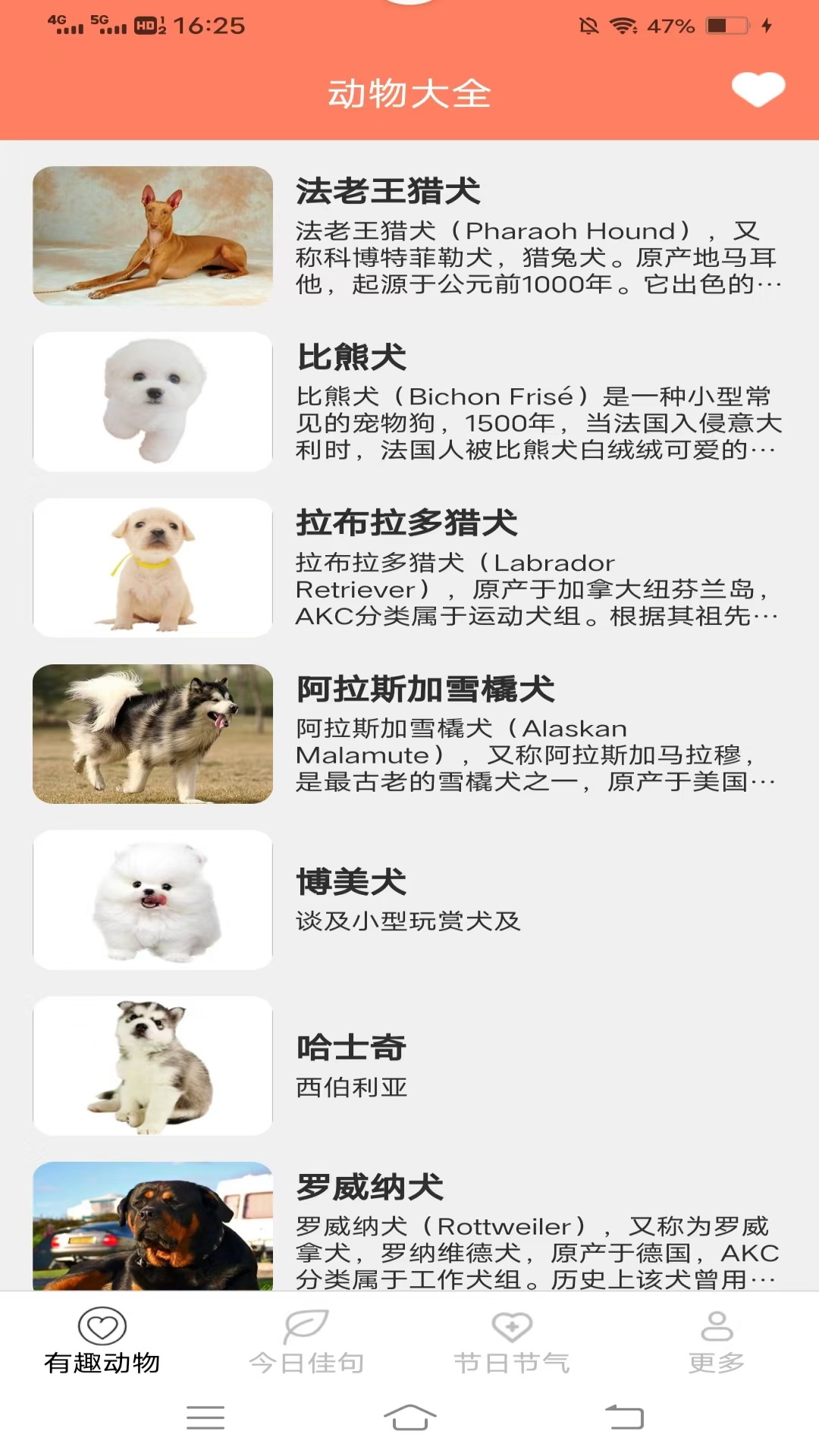 精彩截图-繁星汇看2026官方新版