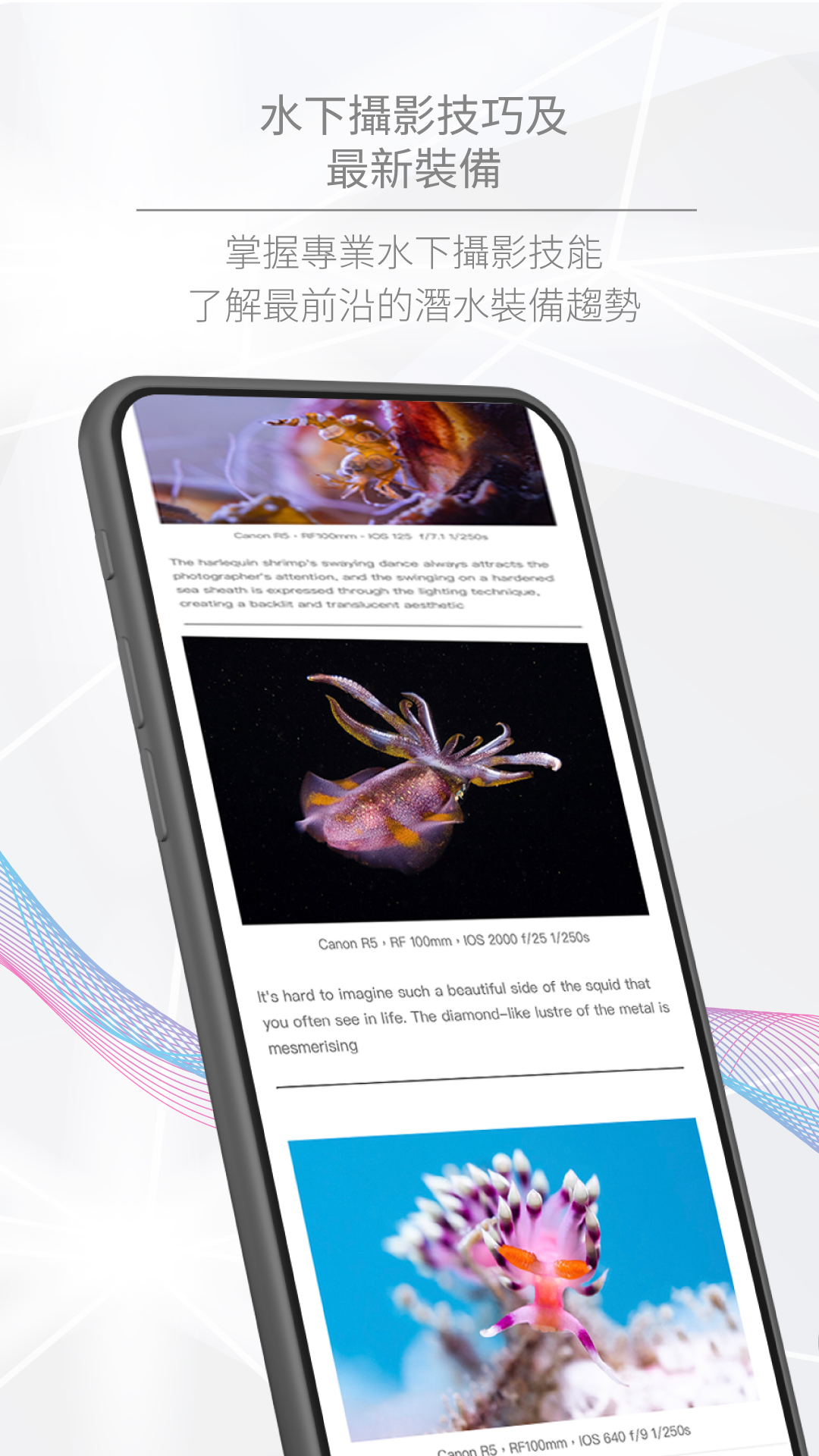 精彩截图-潜水星球2026官方新版