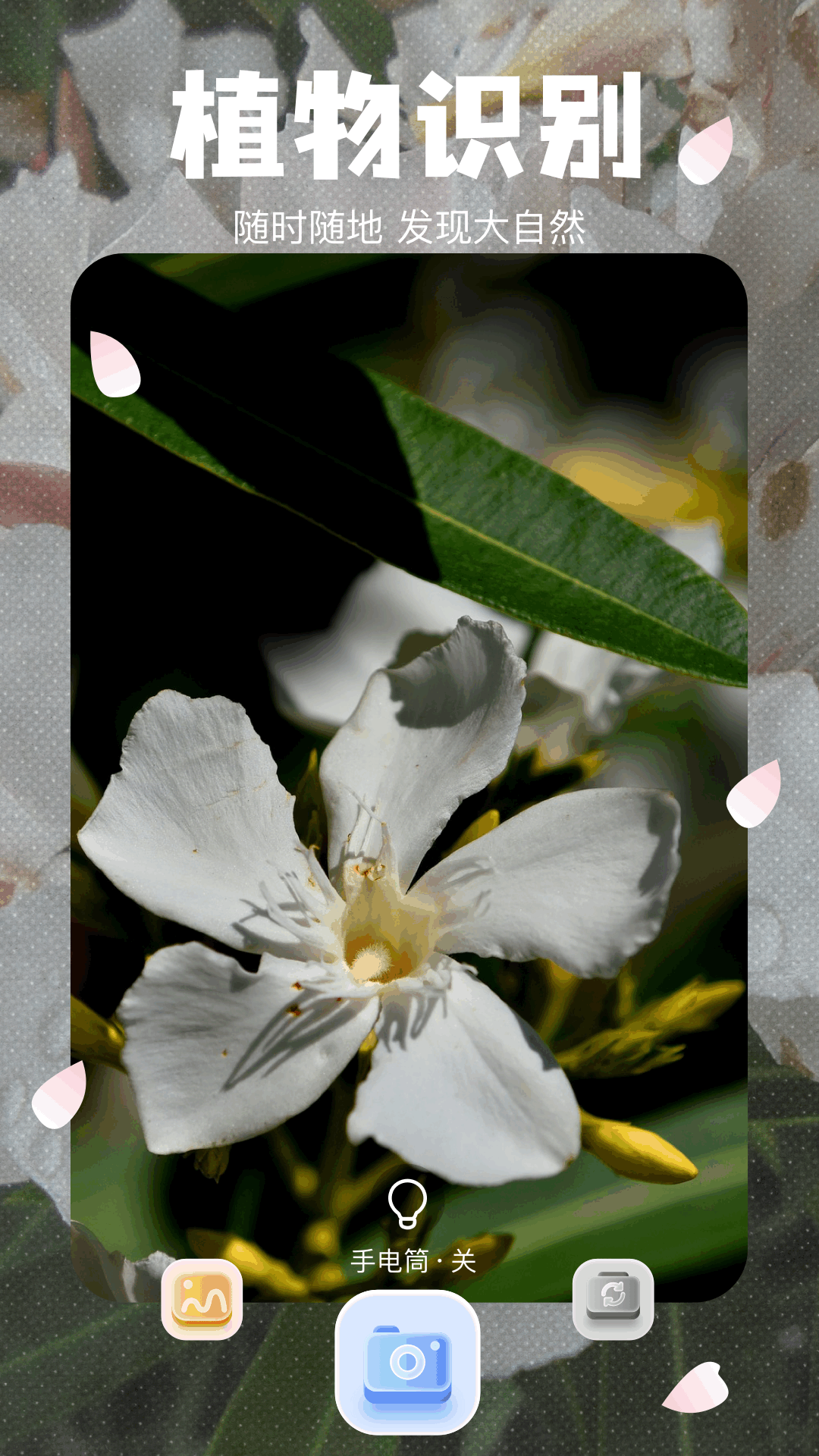 精彩截图-拍照识植物2026官方新版