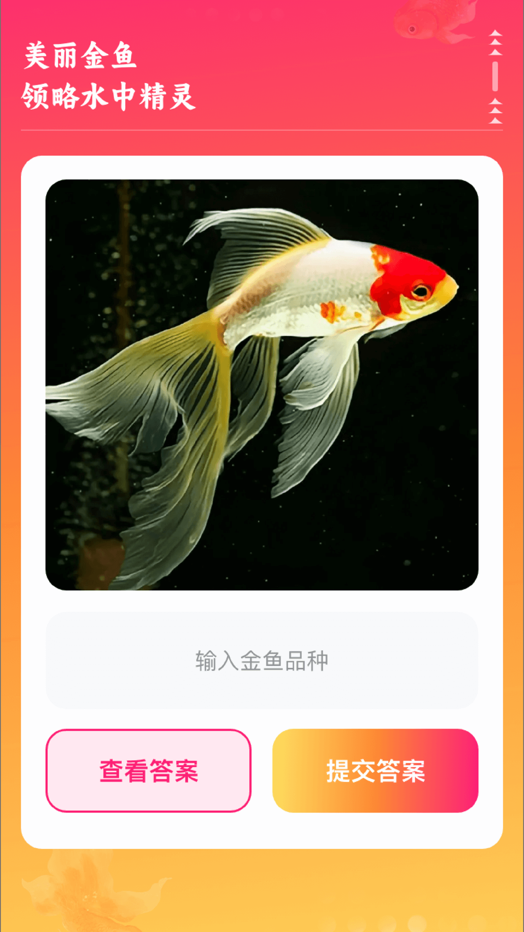 精彩截图-金鱼点点2025官方新版