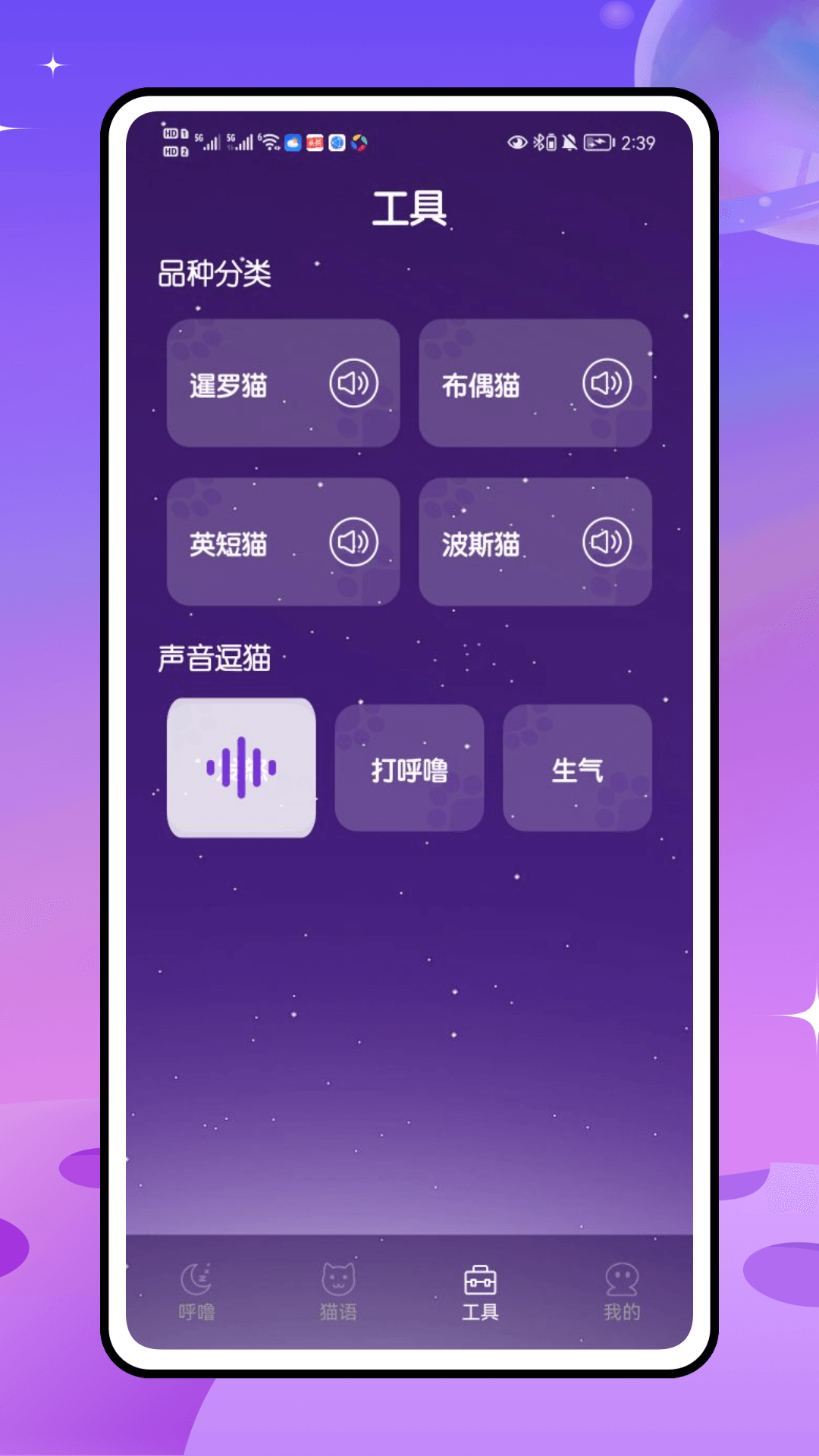 精彩截图-喵喵乐园2025官方新版