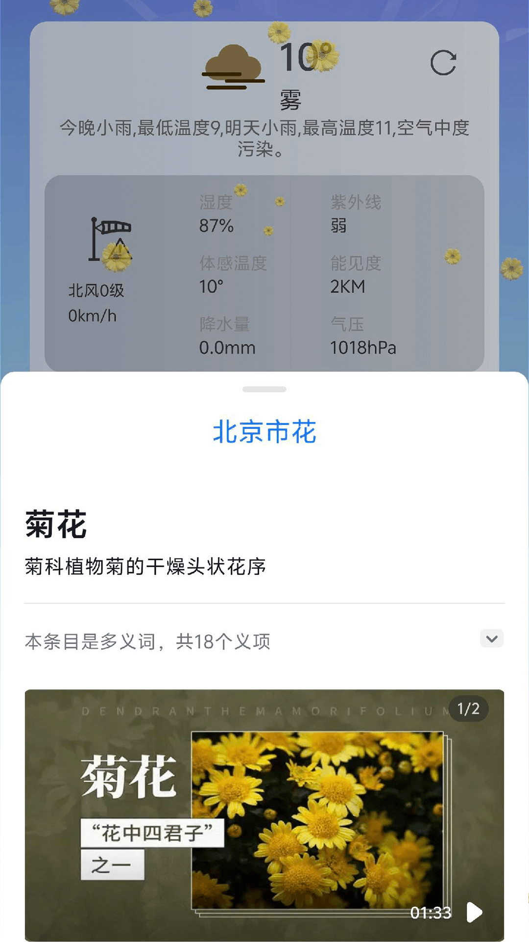  与繁花天气同行，让每一天都如花绽放