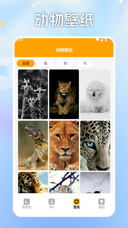 精彩截图-莎威码传奇画板2025官方新版