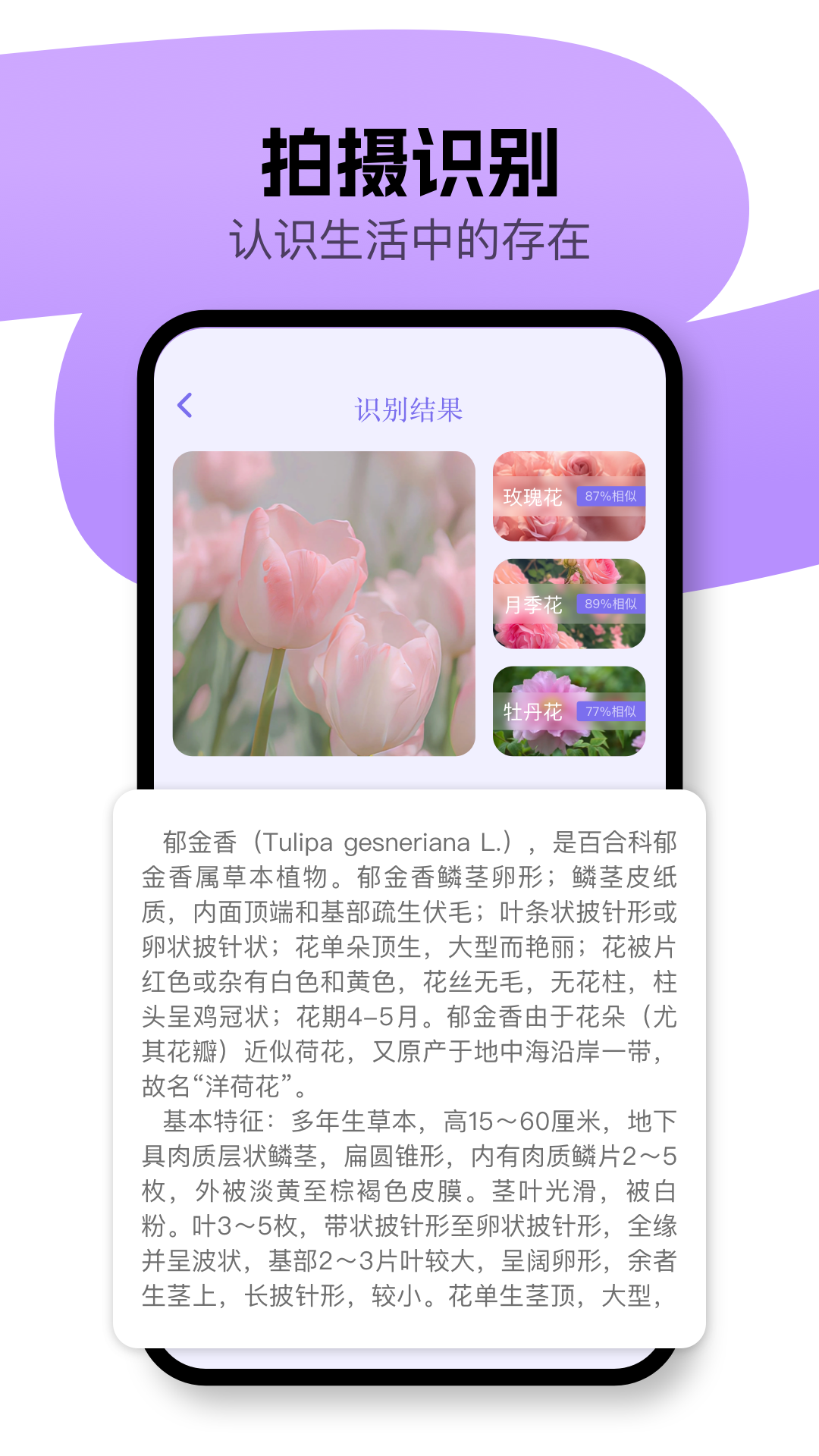 精彩截图-奇侠影视2025官方新版