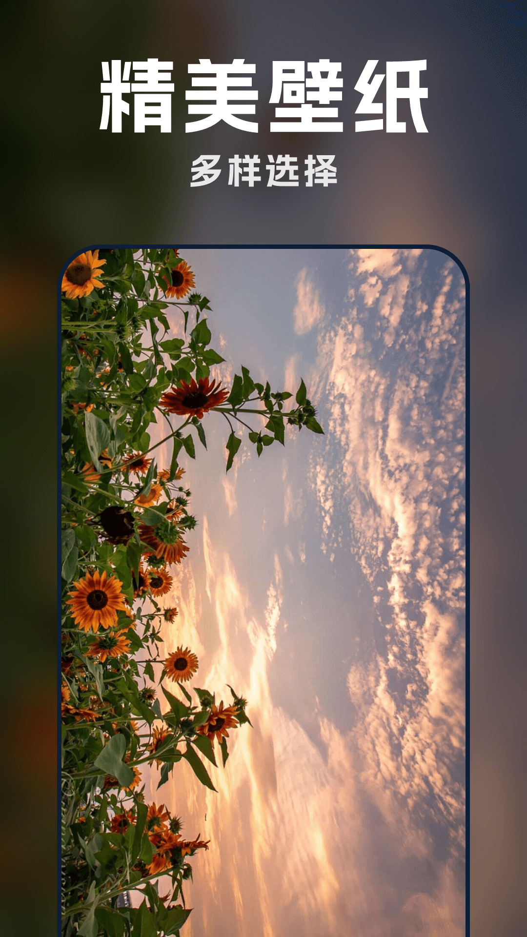 精彩截图-AI壁纸酷2026官方新版