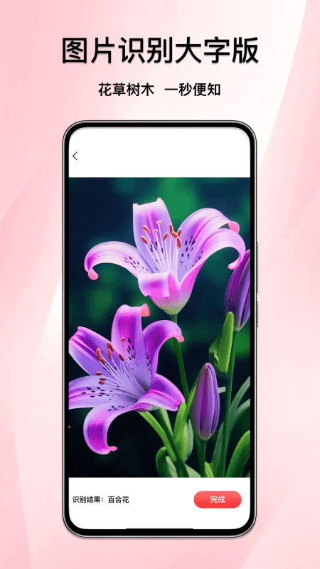 精彩截图-图片识别大字版2026官方新版