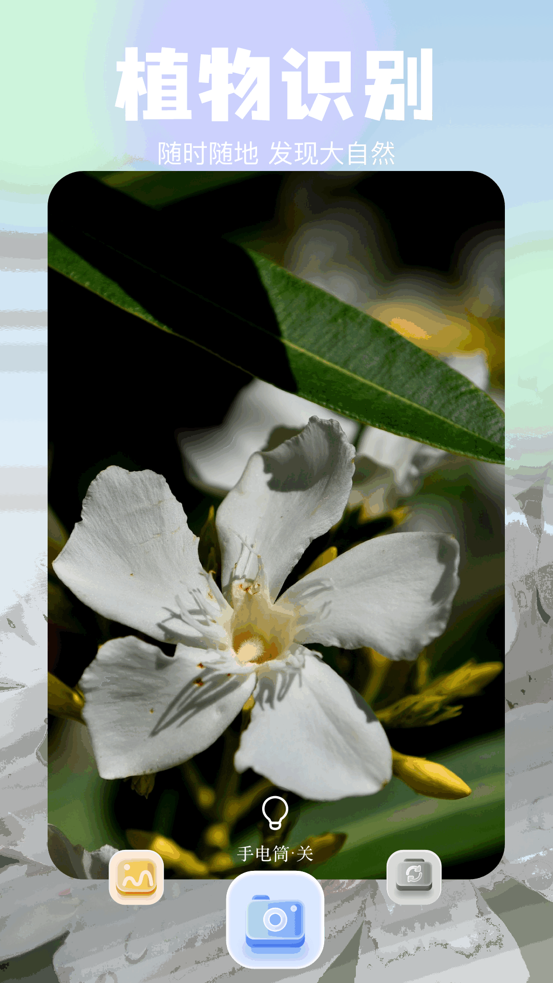 精彩截图-蝙蝠chat2026官方新版