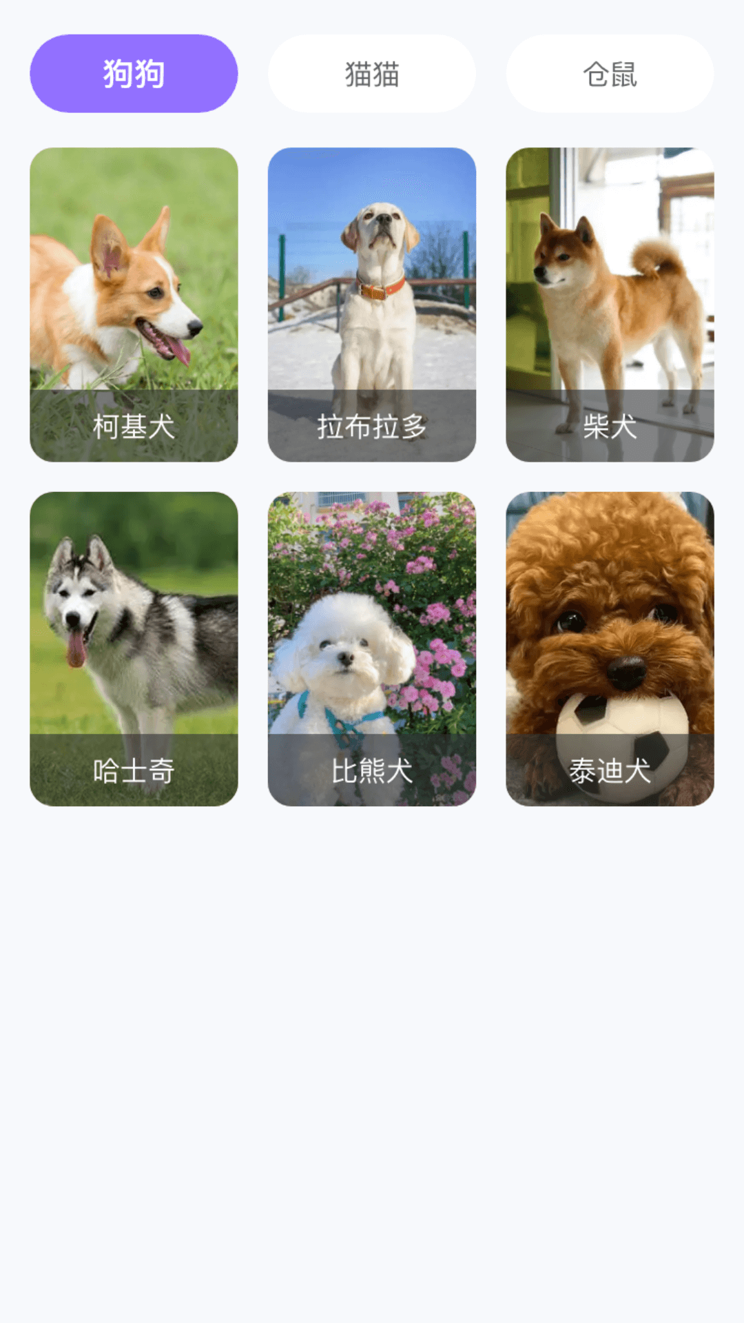 精彩截图-楚楚可连2025官方新版