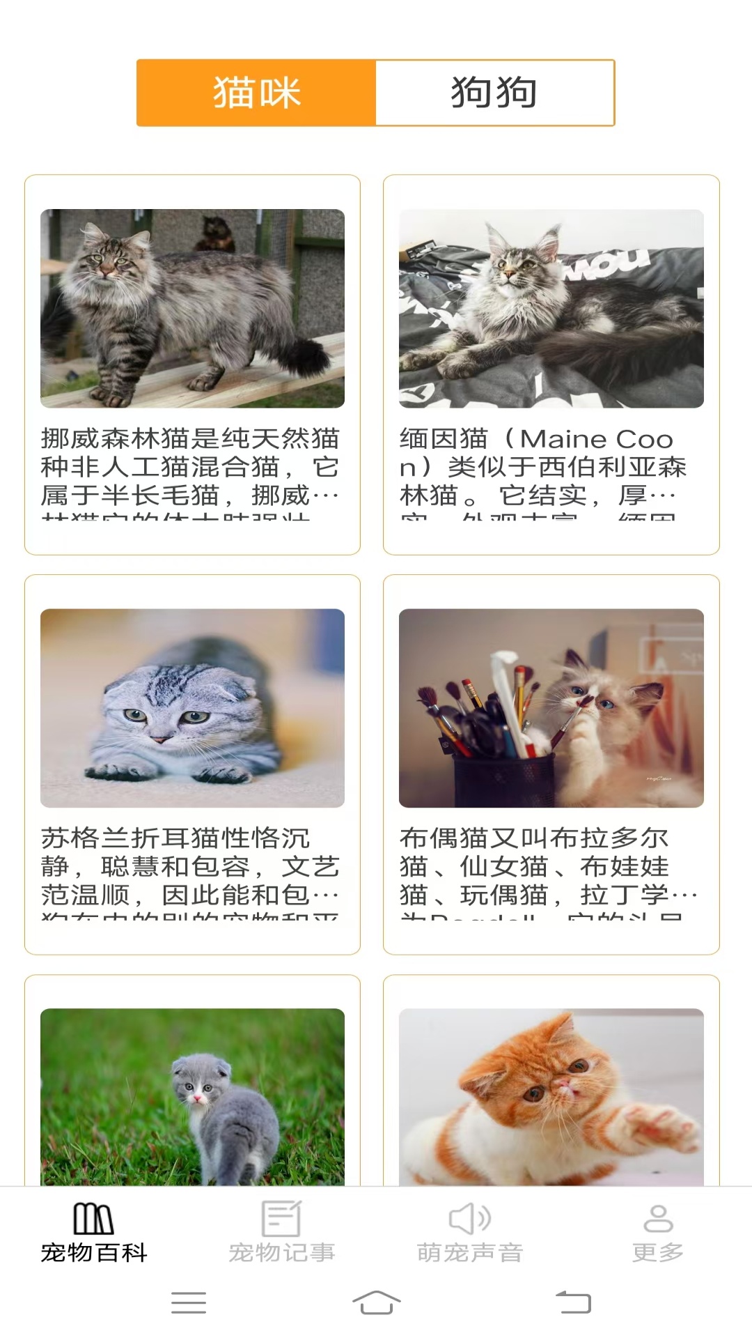 精彩截图-宠趣点点2026官方新版