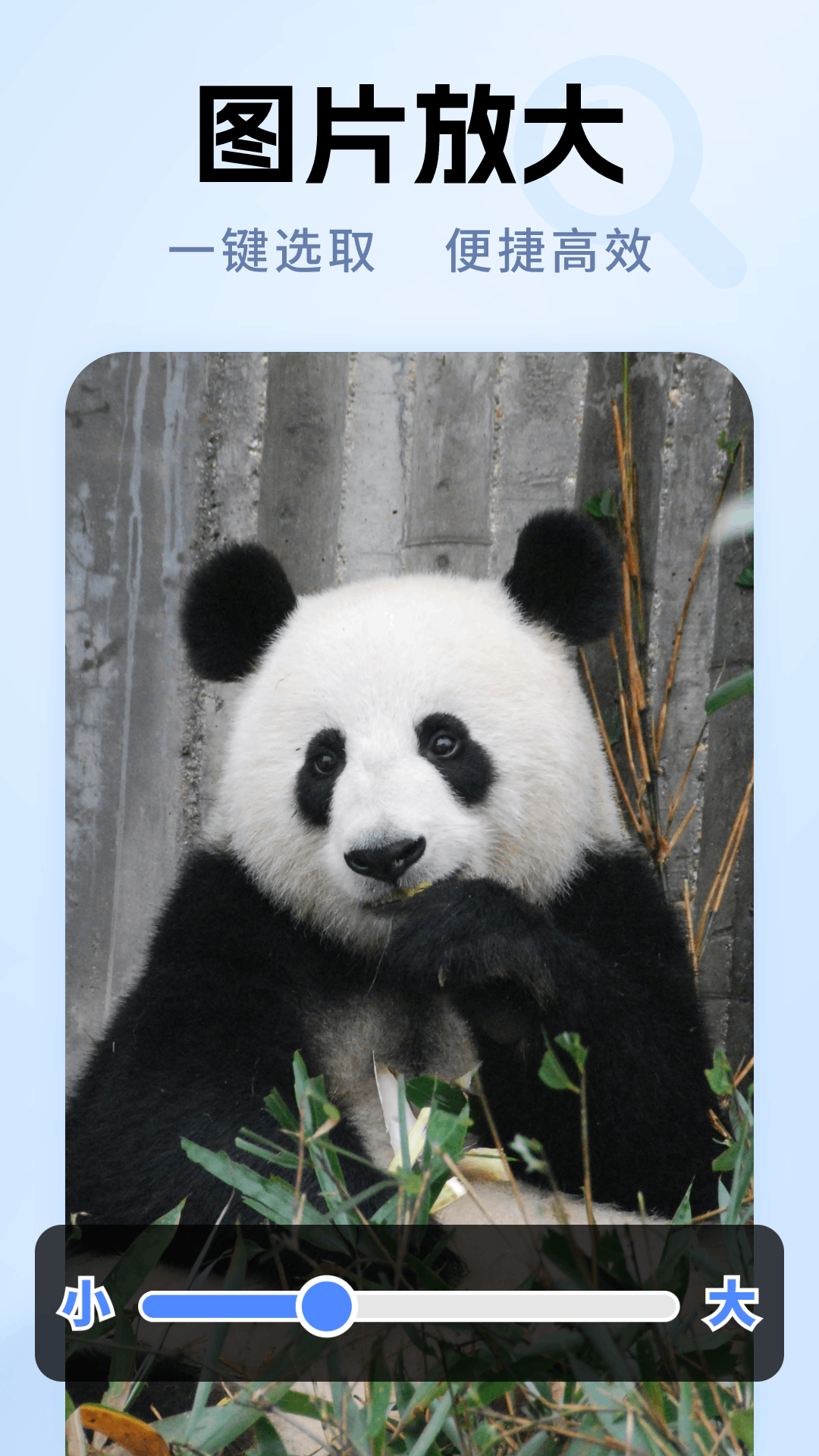 精彩截图-高倍清晰放大镜2026官方新版