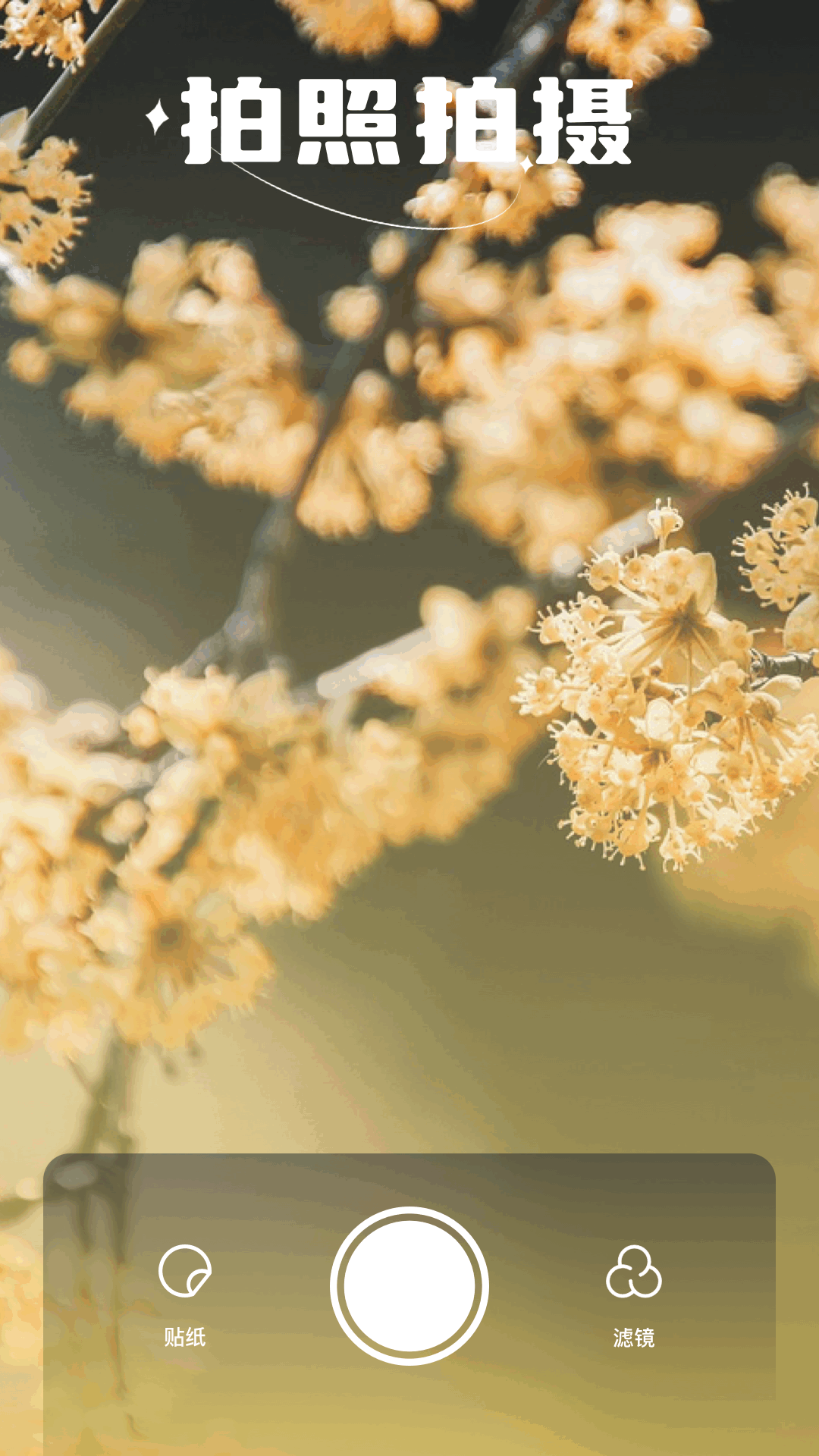 精彩截图-繁花漫画2025官方新版