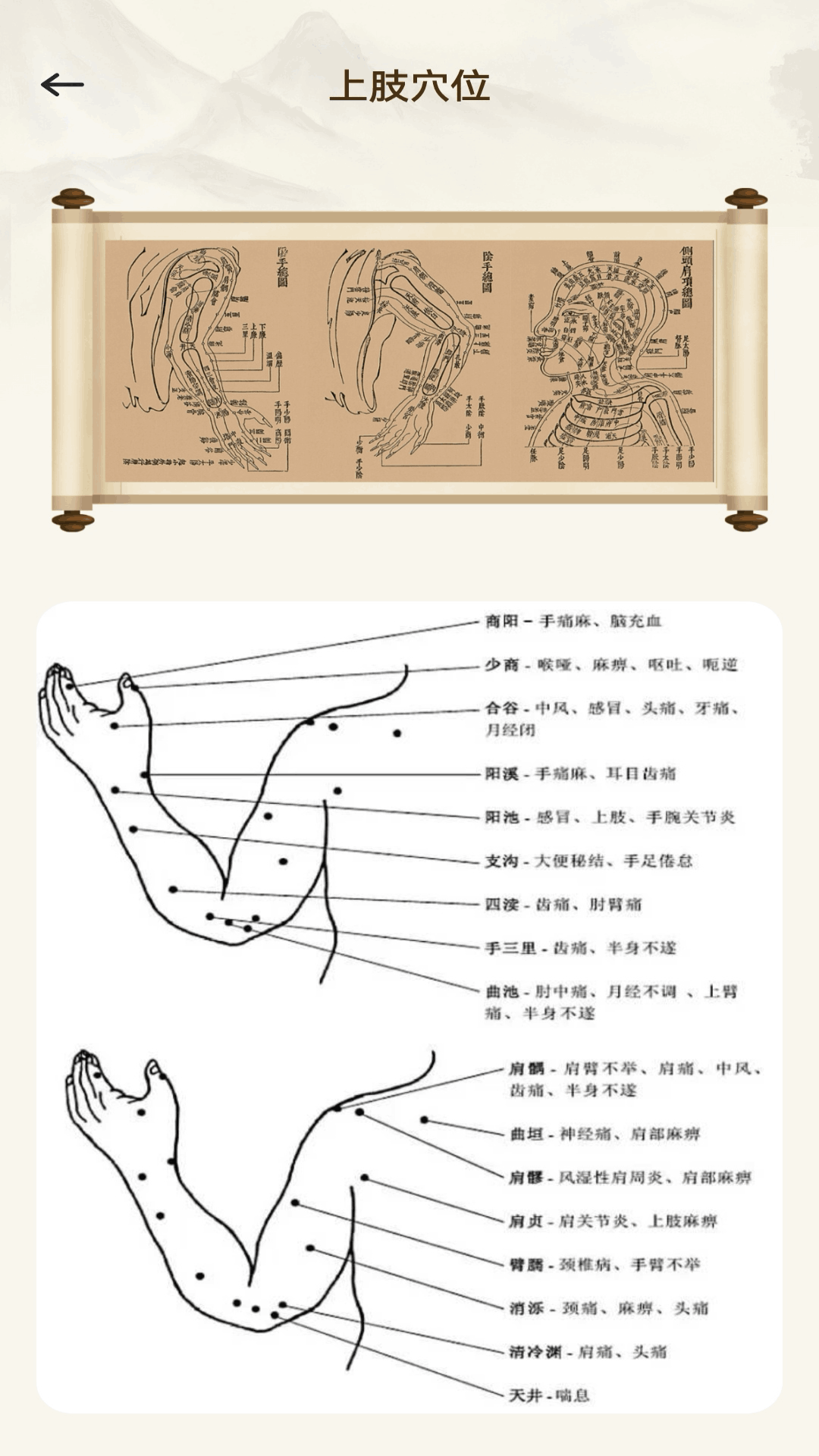 精彩截图-助力中医2026官方新版