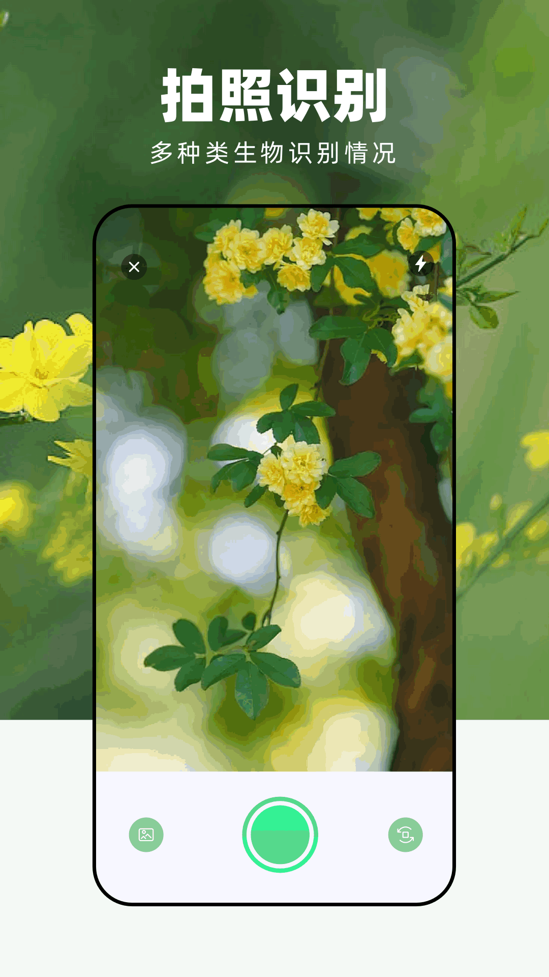 精彩截图-花草识物2026官方新版