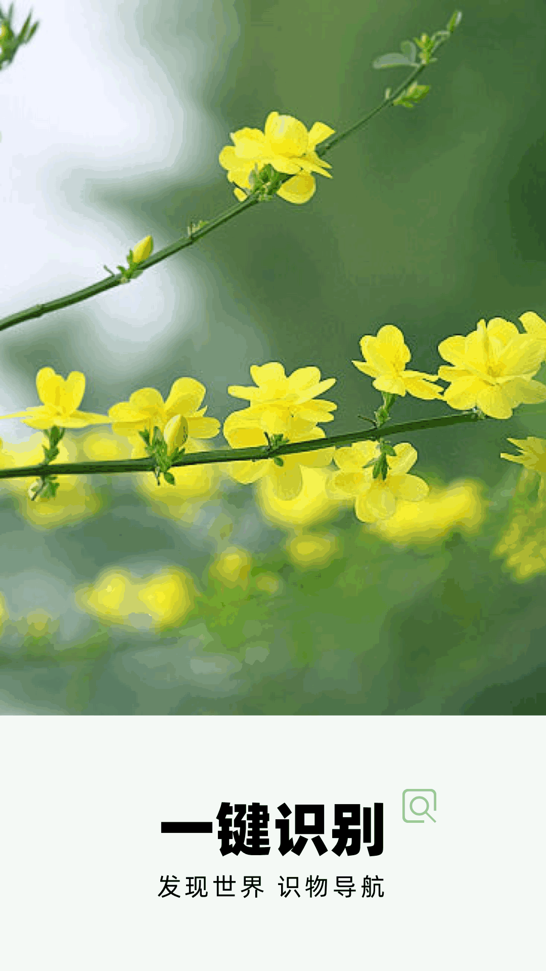 精彩截图-花草识物2026官方新版