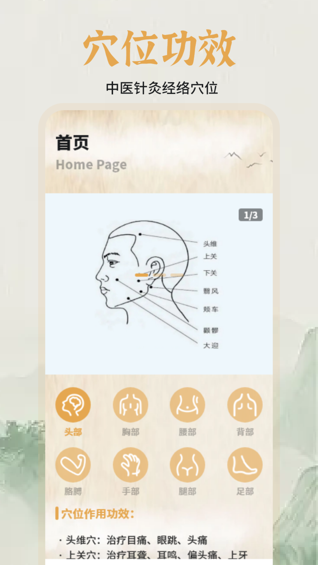 精彩截图-中医经络穴位图谱2025官方新版