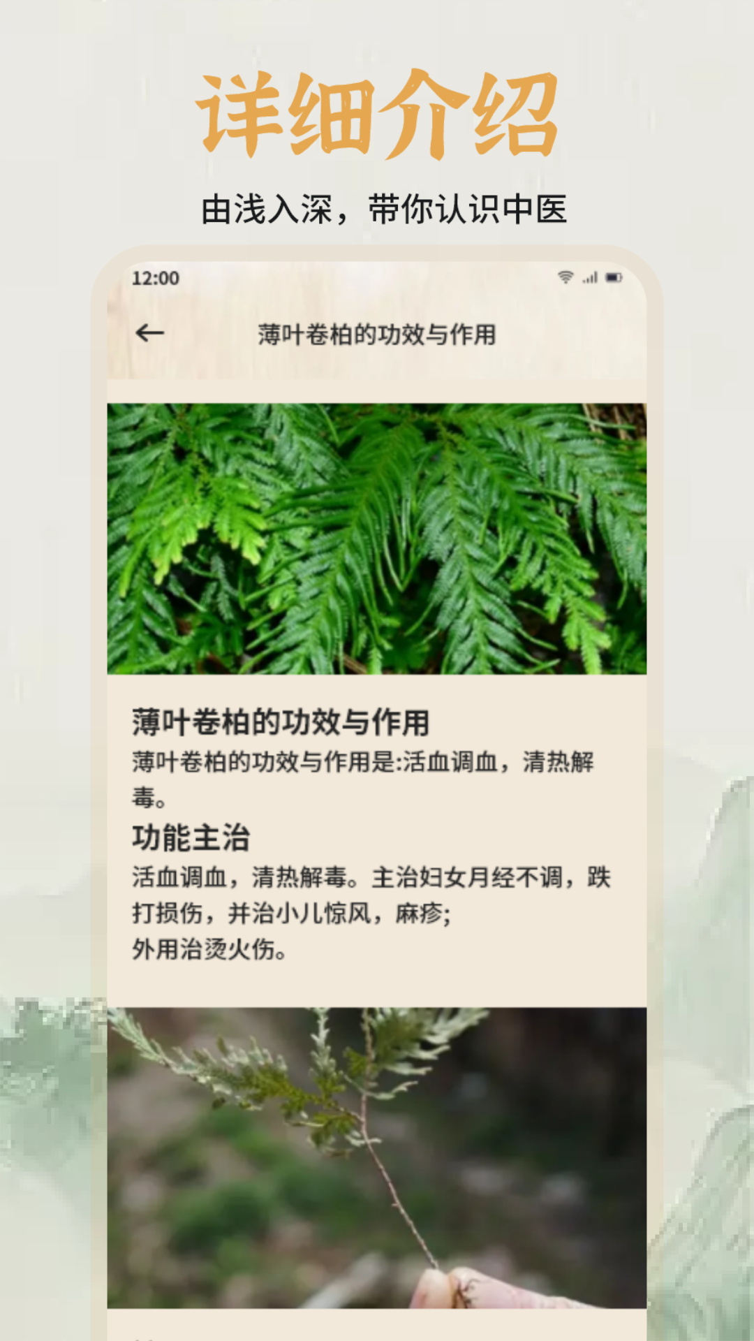 精彩截图-中医经络穴位图谱2025官方新版