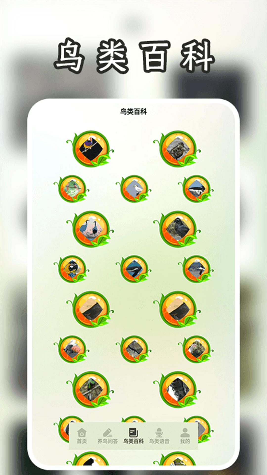 孤独的鸟二安卓版高清截图