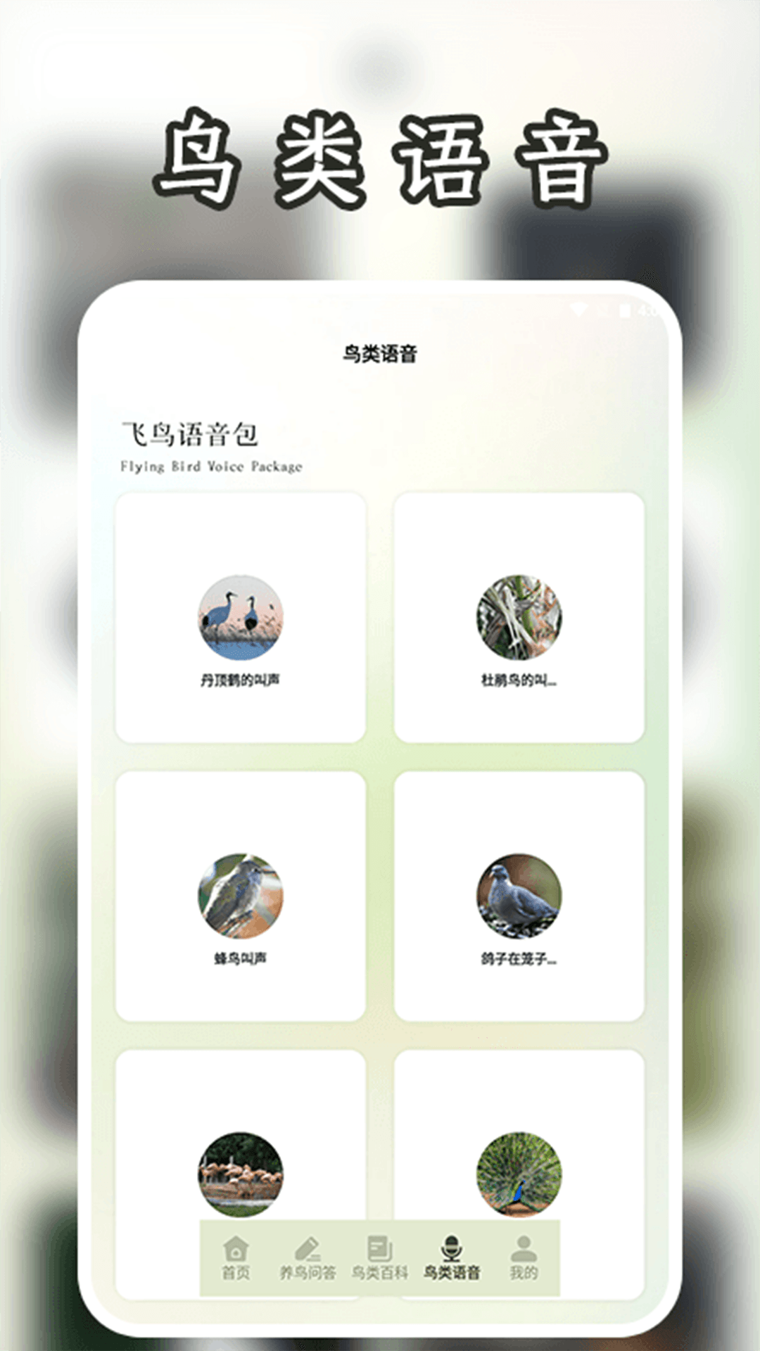 孤独的鸟二安卓版高清截图