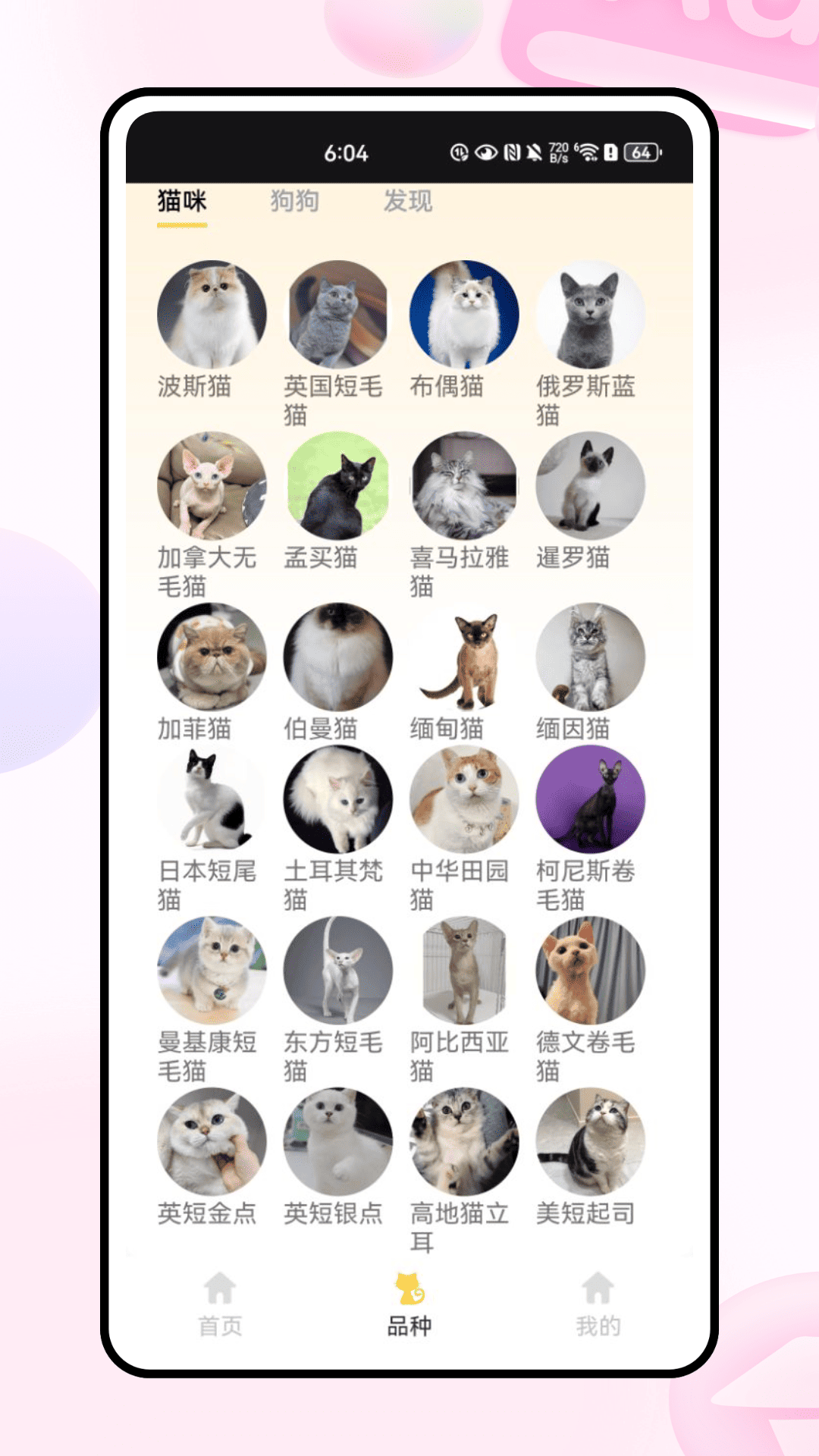 精彩截图-宠物基地2025官方新版
