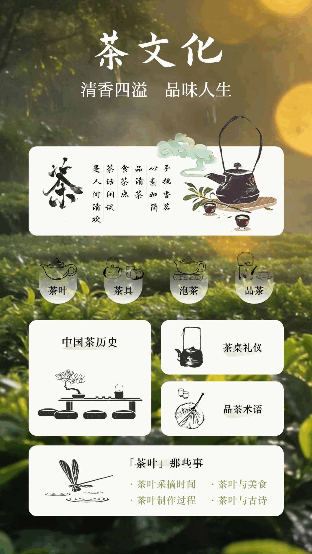 精彩截图-我的相册2026官方新版