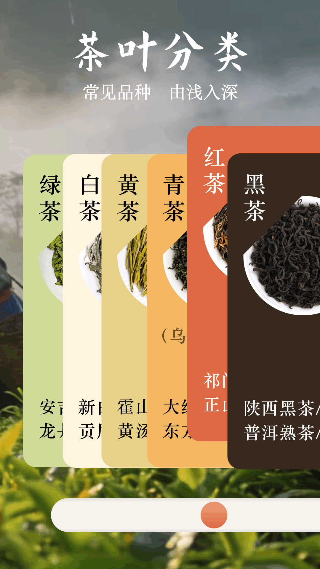 精彩截图-我的相册2026官方新版