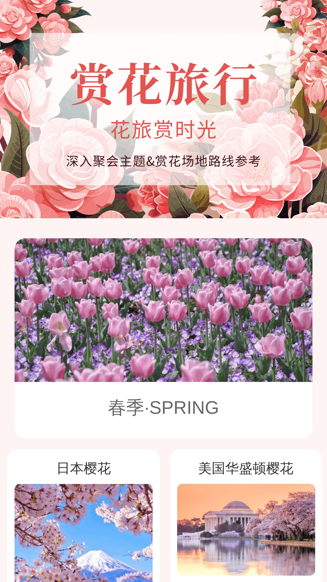 精彩截图-花开聚聚2025官方新版