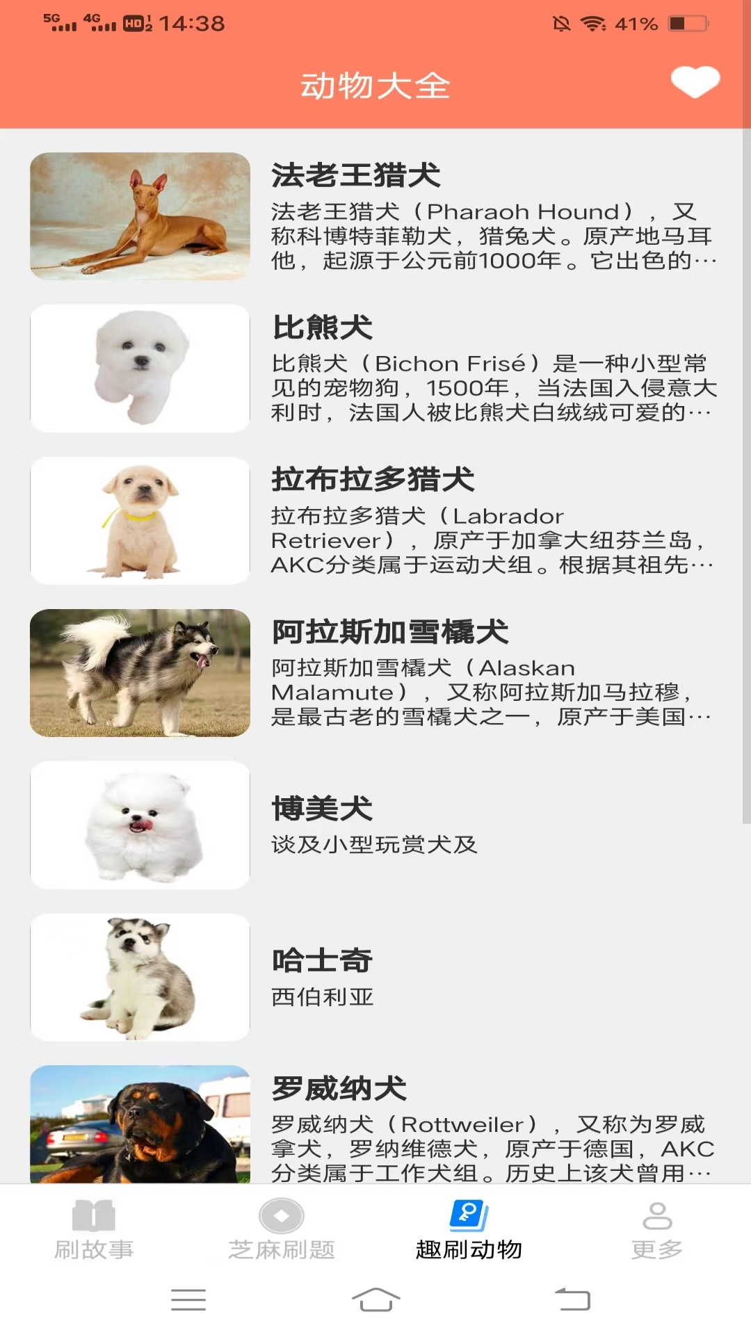 精彩截图-福运喜刷2025官方新版