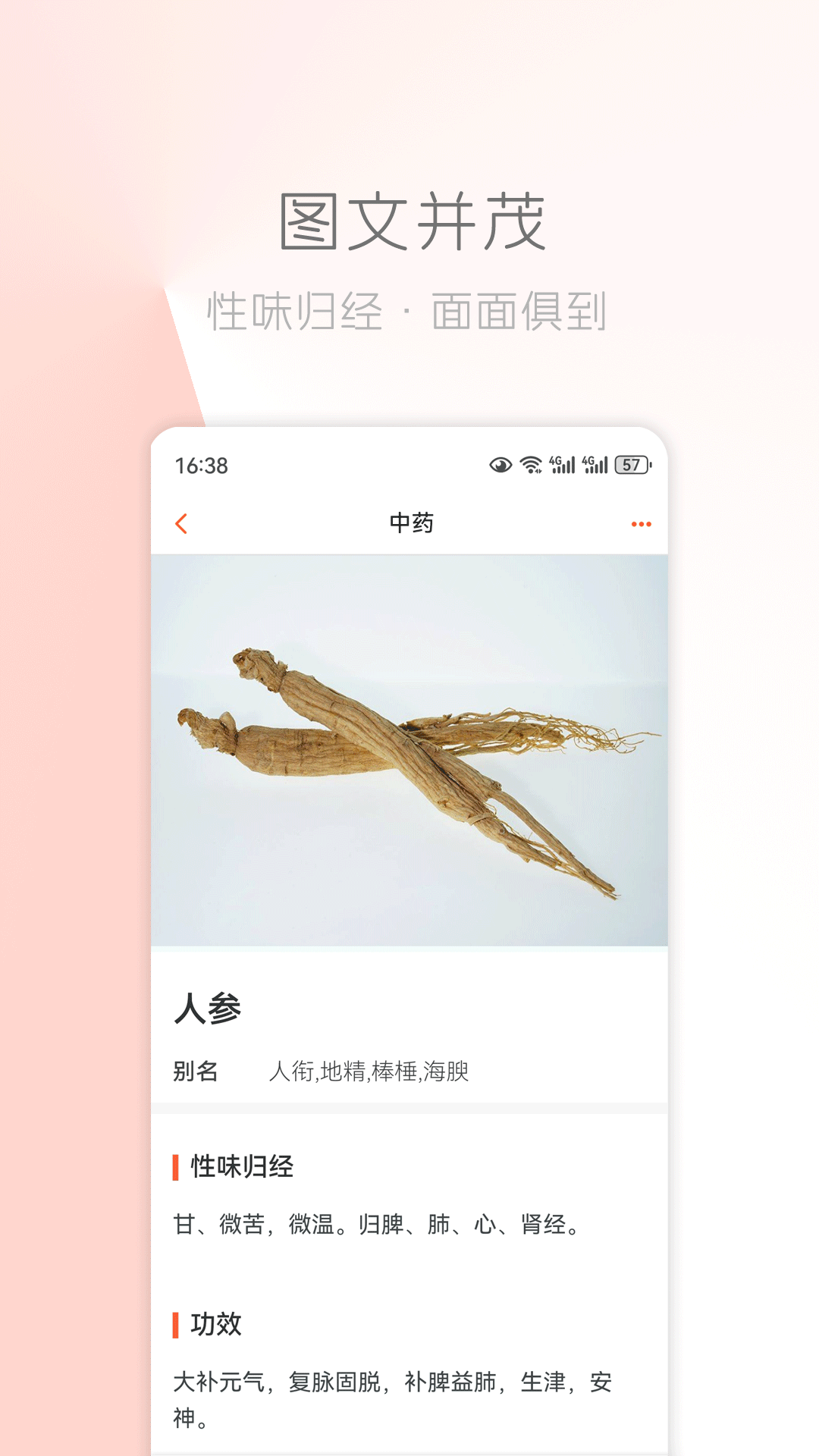 精彩截图-中医之家2026官方新版