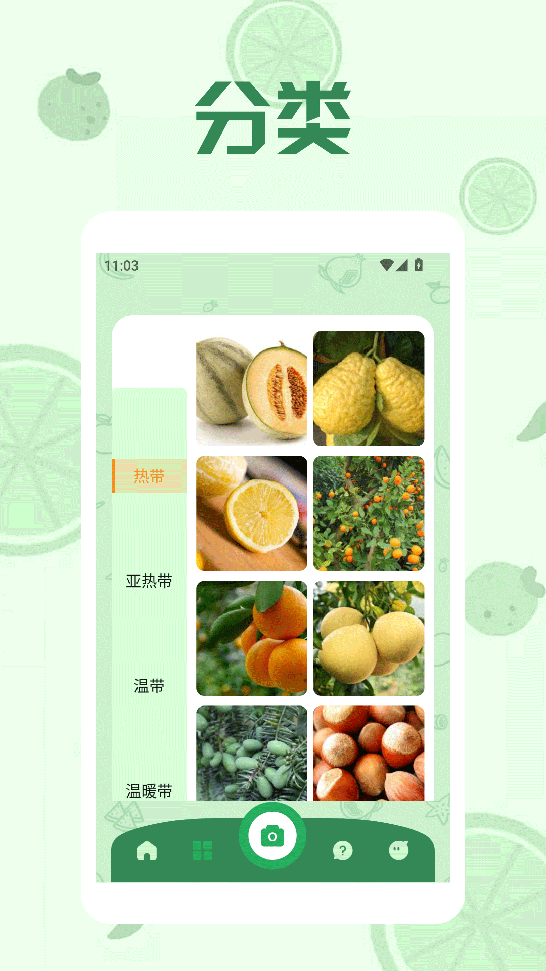 精彩截图-果实传说极速版2025官方新版